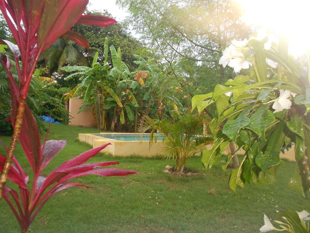 Gipsy Ranch Rooms Cabarete Exterior foto